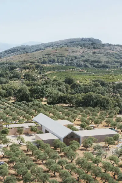El Olivar