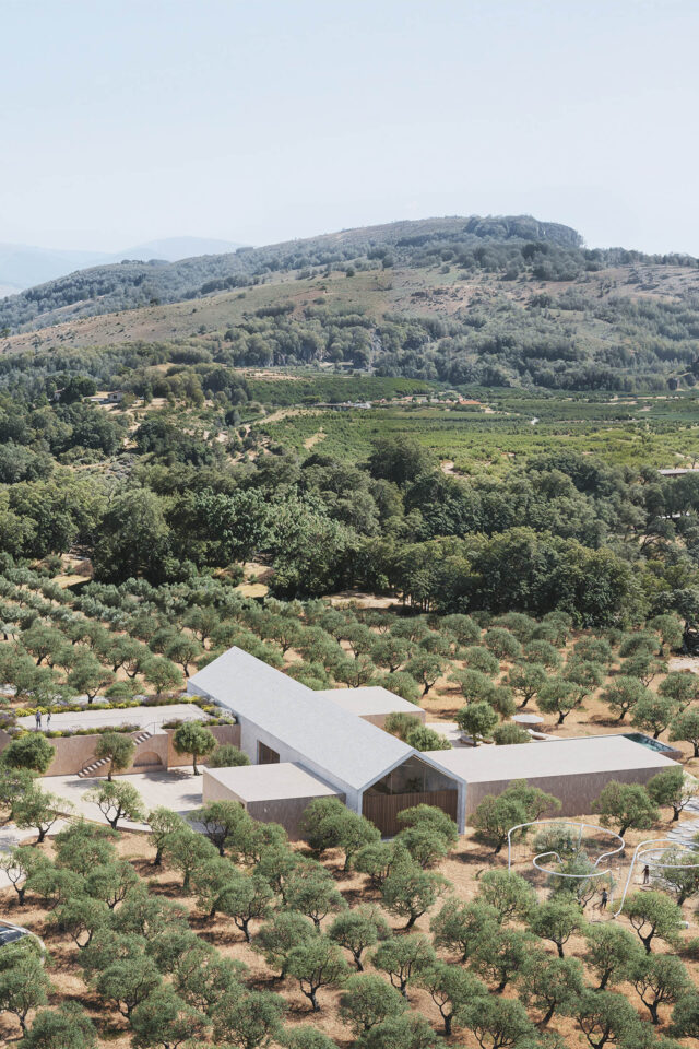 El Olivar