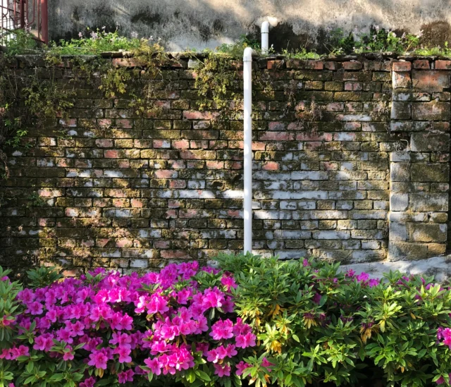 ¿Cuál es la altura legal de los muros entre vecinos?